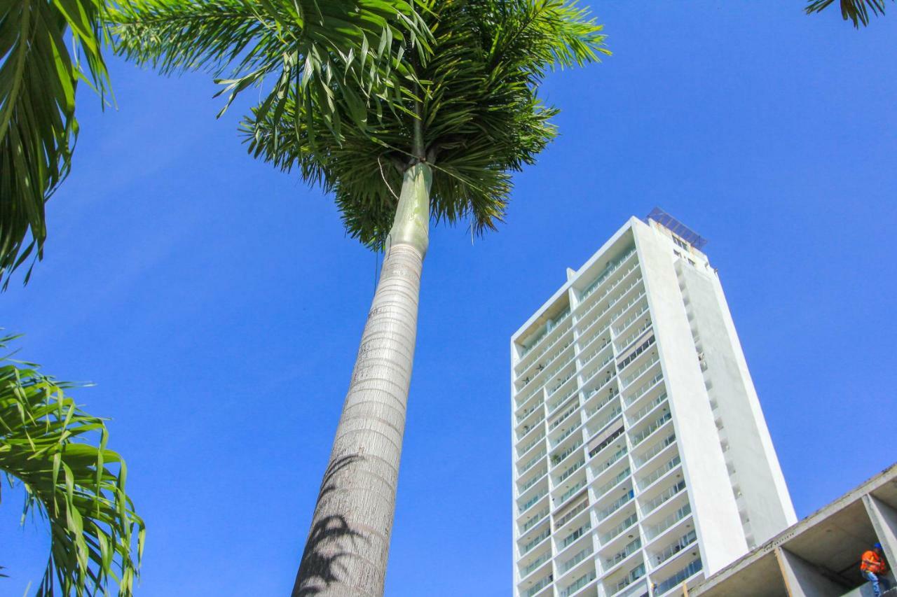 2201 Playa El Palmar Διαμέρισμα Las Palmeras Εξωτερικό φωτογραφία